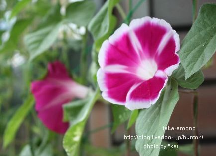 IMG_9705_017