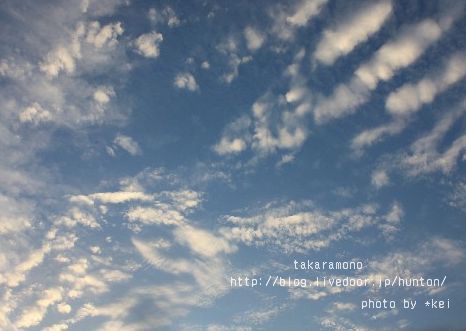 IMG_9821_012