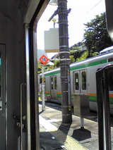 445249f7.jpg