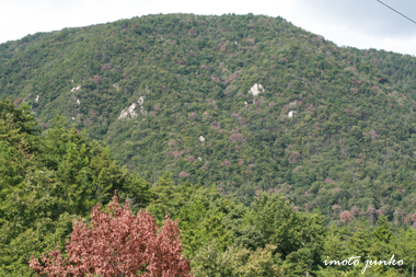 山