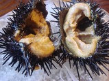 uni