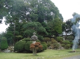 tatsugo