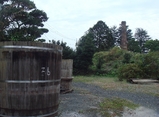 tatsugo