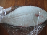 hirame