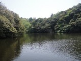 kenshonuma