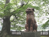 komainu