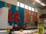 sakana