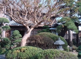 niwa