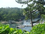 view