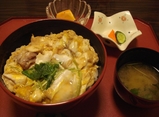 oykodon