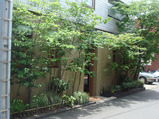 hamazaki
