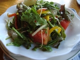 salad