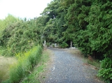 komichi