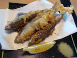 mehikari