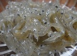 shirasu