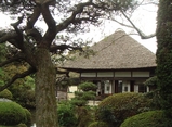 hozumi