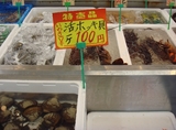 hokki