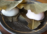 kashiwamochi