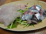 sashimi