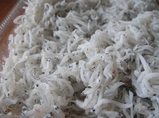shirasu