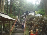 michinori