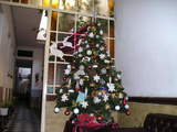 kurisumasu tree