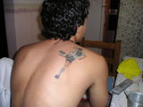 mosqui