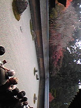 f32ae713.jpg