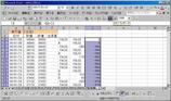 excel010