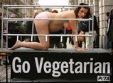 PETA�Υݥ�����