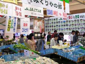 道の駅ふじおやま