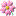 桜動