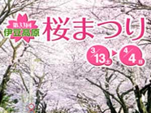 伊豆高原桜まつり1