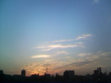 18205058.jpg