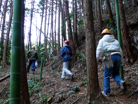 里山6