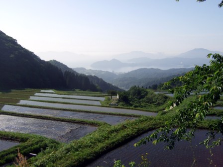 ʡ�����鸫�ؤ�3