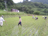 20050628102321.jpg