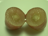 �����������3