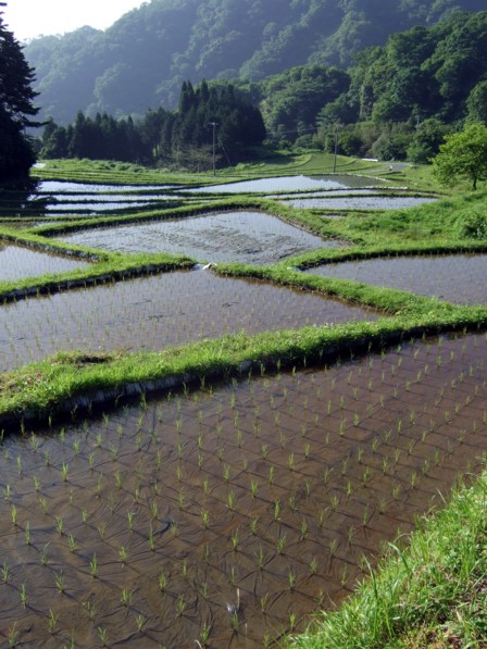ʡ�����鸫�ؤ�