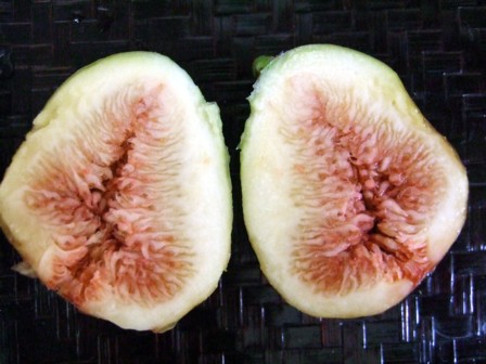 ̵�ֲ�4