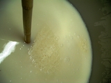 酛�Ź���7