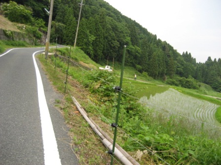 �ŵ���
