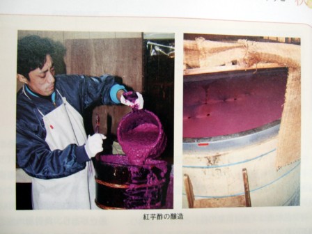 コラム 酢の効用3