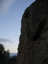 Mango alla notte
