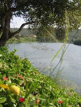 Tiveney river