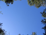 d02d77af.jpg