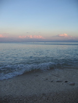 dd6e0409.jpg