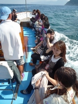 d844d197.jpg