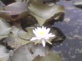 6c628056.jpg