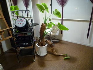 P1000716